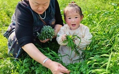 怎样c得对象一直叫